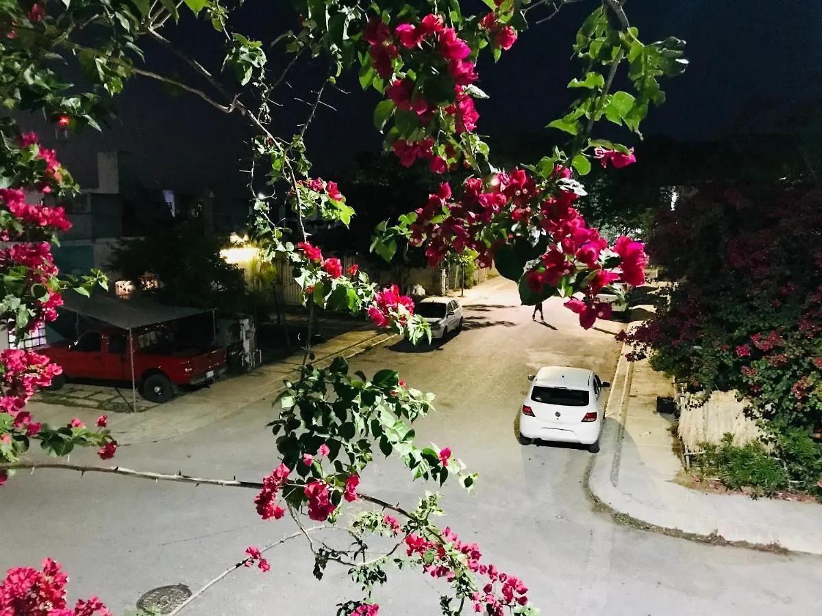 Cozy Tiny Studio Acasadialexplayadelcarmen Playa del Carmen