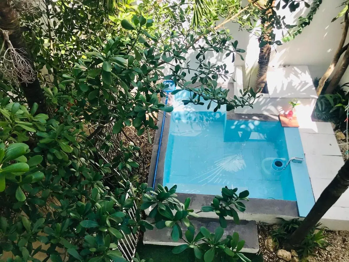 Apartment Cozy Tiny Studio Acasadialexplayadelcarmen Playa del Carmen